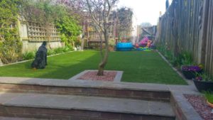 Dog on Artificial grass in garden